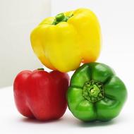 蔬菜名稱:【燎原特惠】新鮮青椒五彩椒太空椒菜椒辣椒綠色無公害蔬菜